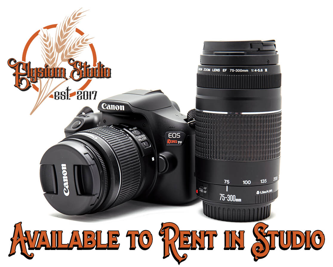 Canon Rebel 6T for Rent