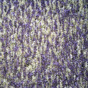 Purple and white flower wall